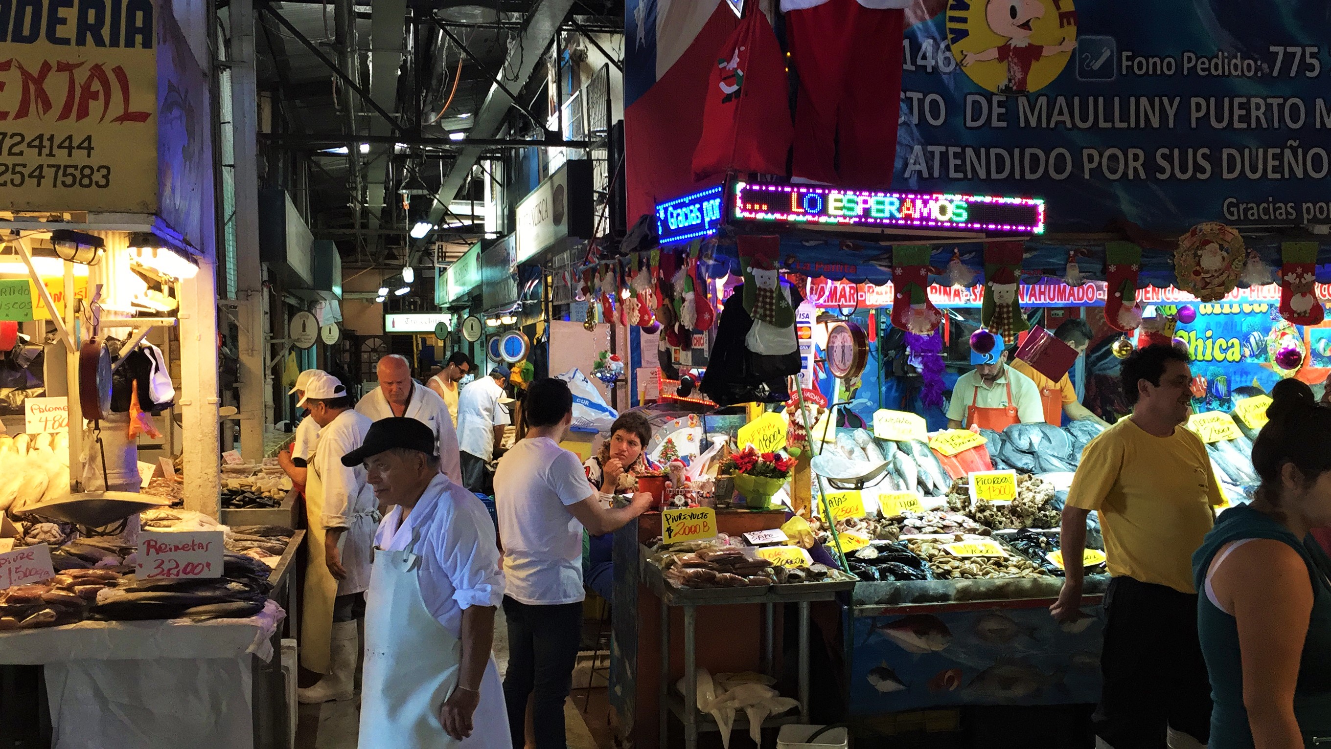 Mercado Central - Feira de Peixes e Frutos do Mar